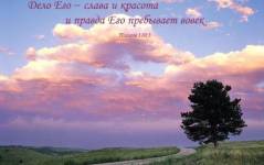Фотография 1