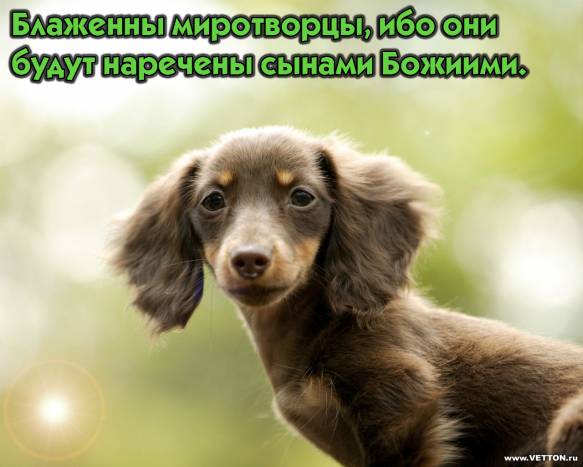 Фотография 7