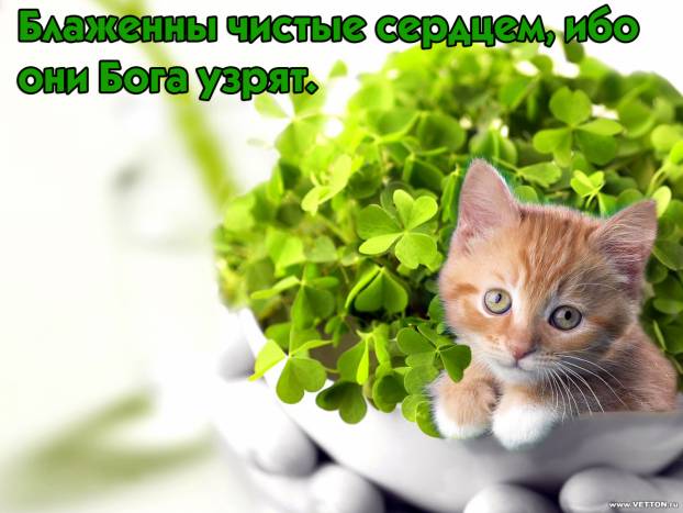 Фотография 10
