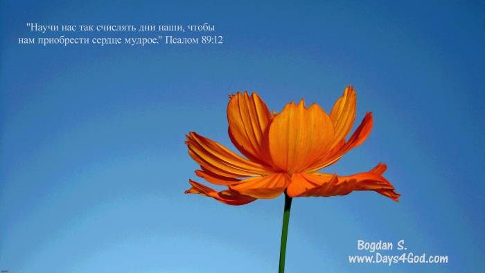 Bogdan S.