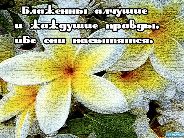 Фотография 3