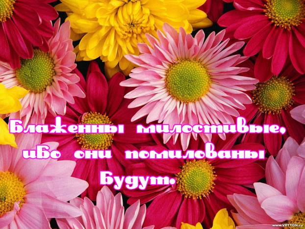 Фотография 6