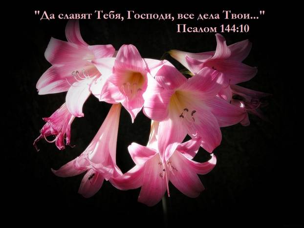 Фотография 1