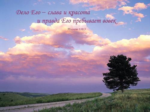 Фотография 1