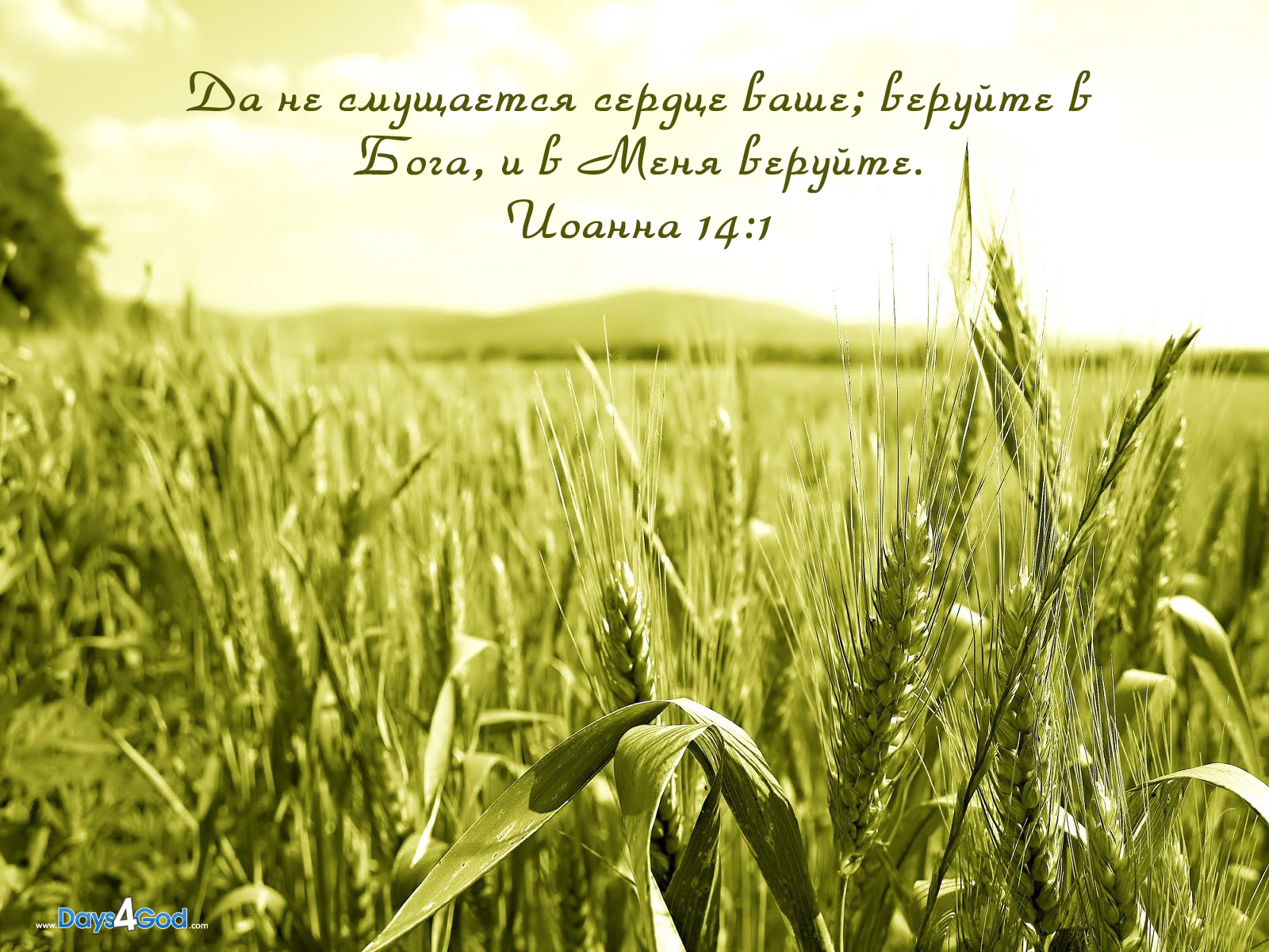 wallpapers - Христианские обои, картинки, фотографии - Дни для Бога
