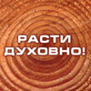 Голос