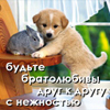 umnitsa