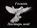 Schalom