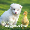 Каролина